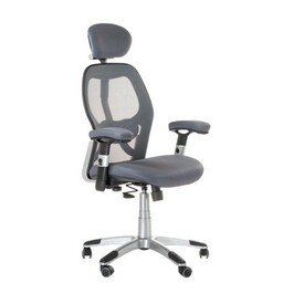 Fotel ergonomiczny CorpoComfort BX-4144 Szary