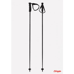 Völkl Kije narciarskie Volkl SPEEDSTICK black/carbon