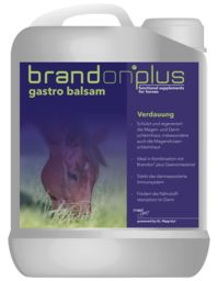 Brandon Medvetico Brandon + Gastro Balsam- balsam