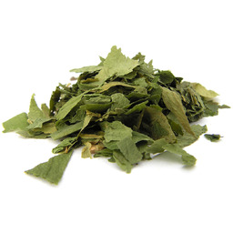 CZOSNEK NIEDŹWIEDZI suszony cięty 1 kg - Aromatika