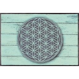 Wash + dry Matte, poliamidowy, zielony, 50 x