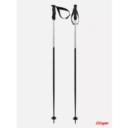 Völkl Kije narciarskie Volkl PHANTASTICK III black