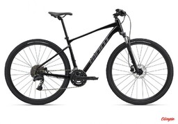 Giant Rower Roam 2