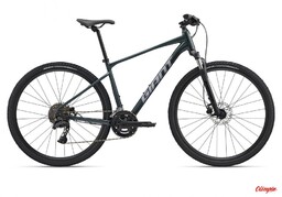 Giant Rower Roam 2