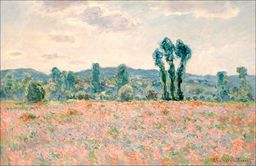Pole Maków, Claude Monet - plakat Wymiar