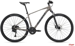 Giant Rower Roam 3