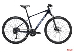 Giant Rower Roam 3
