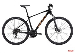Giant Rower Roam 4
