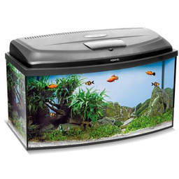 Zestaw akwariowy Classic Box 80 PAO Aquael