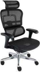 Fotel biurowy Ergohuman 2 Basic BS Black -