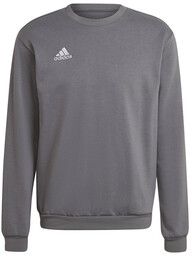 Bluza męska adidas Entrada bez kaptura H57479