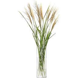 Lsa G1645-40-148 Wazon z wikliny, Przezroczysty, Wysokość 40cm,