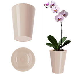 Doniczka na storczyka Cerda 13 cm, kremowa