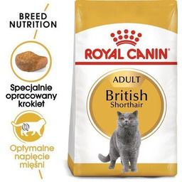 Karma sucha dla kotów ROYAL CANIN British Shorthair,