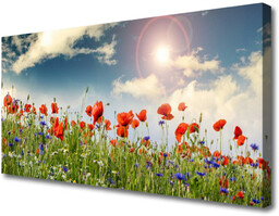 Obraz Canvas Łąka Kwiaty Słońce Natura