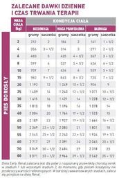 ROYAL CANIN Dog Early Renal 12x100g saszetka