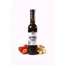 Oxymel Truskawka Imbir 375ml Naturalny Miód Ocet Owocowy