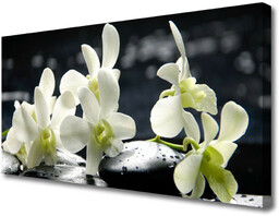 Obraz Canvas Kwiat Orchidea Roślina