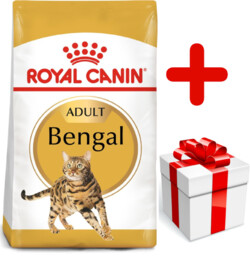 ROYAL CANIN Bengal Adult 10kg