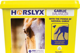 Horslyx Lizawka GARLIC 5kg