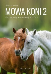 Galaktyka Książka Mowa Koni 2. Fundamenty komunikacji