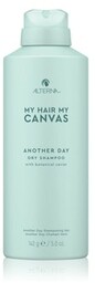 ALTERNA My Hair My Canvas Another Day Dry