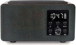 Radio sieciowe Fm Manta RDI910WC