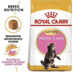 Karma sucha dla kociąt ROYAL CANIN Maine Coon