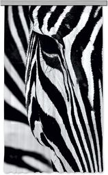 AG Design Zebra firanka/zasłona, tkanina, wielokolorowa, 140 cm