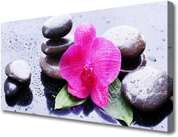 Obraz Canvas Kwiat Orchidea Sztuka