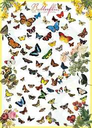 Eurographics Puzzle motyli (1000 sztuk)