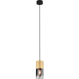 Trio Leuchten Lampa wisząca Robin 310600154, metal mosiądz
