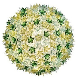 Kartell - Bloom C1 Lampa Ścienna/Sufitowa Miętowa