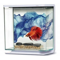 Zestaw akwarium Marina Betta BLUE, 3L, 21 x