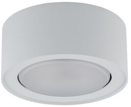 Spot sufitowy designerski FLEA WHITE 8202