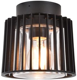 Lampa sufitowa SHYNE 6397501012 - Lutec