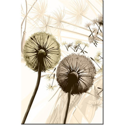 100 70cm Obraz płótno Dmuchawce sepi płótno rama
