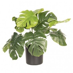 Sztuczna Roślina w Doniczce Monstera B Clayre &
