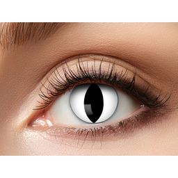 Soczewki kontaktowe Czarny Kot - 7 dniowe