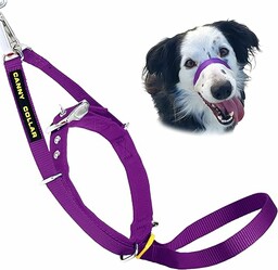 Canny Collar  Obroża Treningowa Przeciw Ciągnięciu Kantar