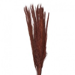 Suszone Trawy Pampasowe Bukiet 85 cm Clayre &