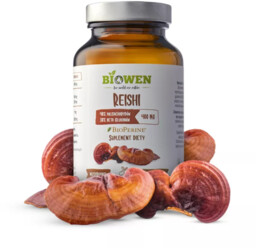 GRZYBY REISHI EKSTRAKT (400 mg) BEZGLUTENOWY 90 KAPSUŁEK