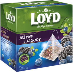 LOYD Herbata Jagoda i Jeżyna piramidki