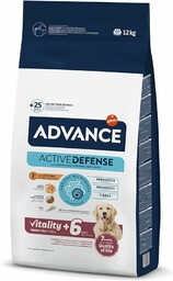 Advance Vitality Senior Maxi - Big Race karma