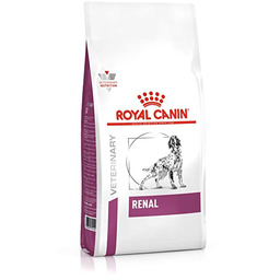 ROYAL CANIN Dog renal 7 kg sucha karma