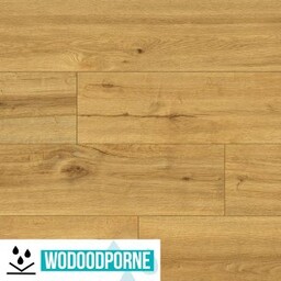 Panele winylowe LVT CLASSEN PRO NATURE CERAMIN 62538