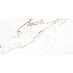 Gres szkliwiony hiszpański Emigres ALBA-PUL GOLD polished 58,5x118,5