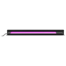Philips Hue White and Colour Ambiance Amarant Lampa