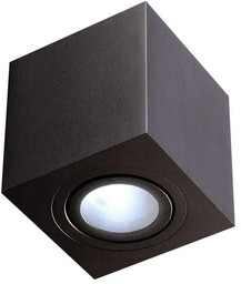 Oprawa sufitowa LAGO NERO IP44 OR82173 - Orlicki