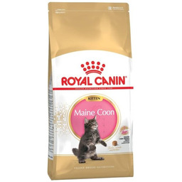 ROYAL CANIN FBN Maine Coon Kitten - sucha